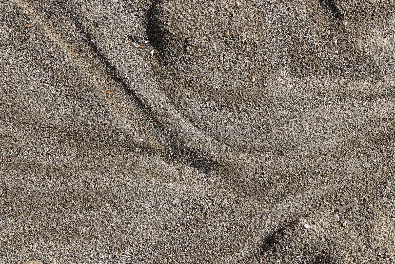 Sea Beach Sand Texture. Sandy Surface Backdrop. Outdoor sand background.