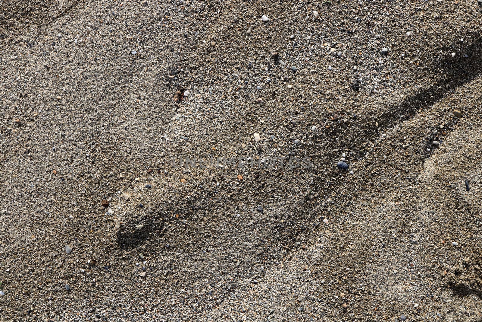 Outdoor sand background. Sandy Surface Backdrop. Sea Beach Sand Texture.