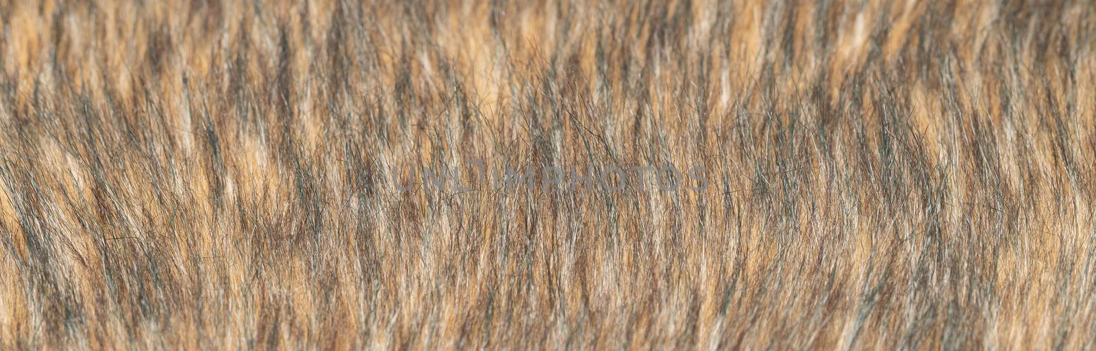 Close-up of a fluffy dark brown faux fur fabric with a background texture. by bonilook