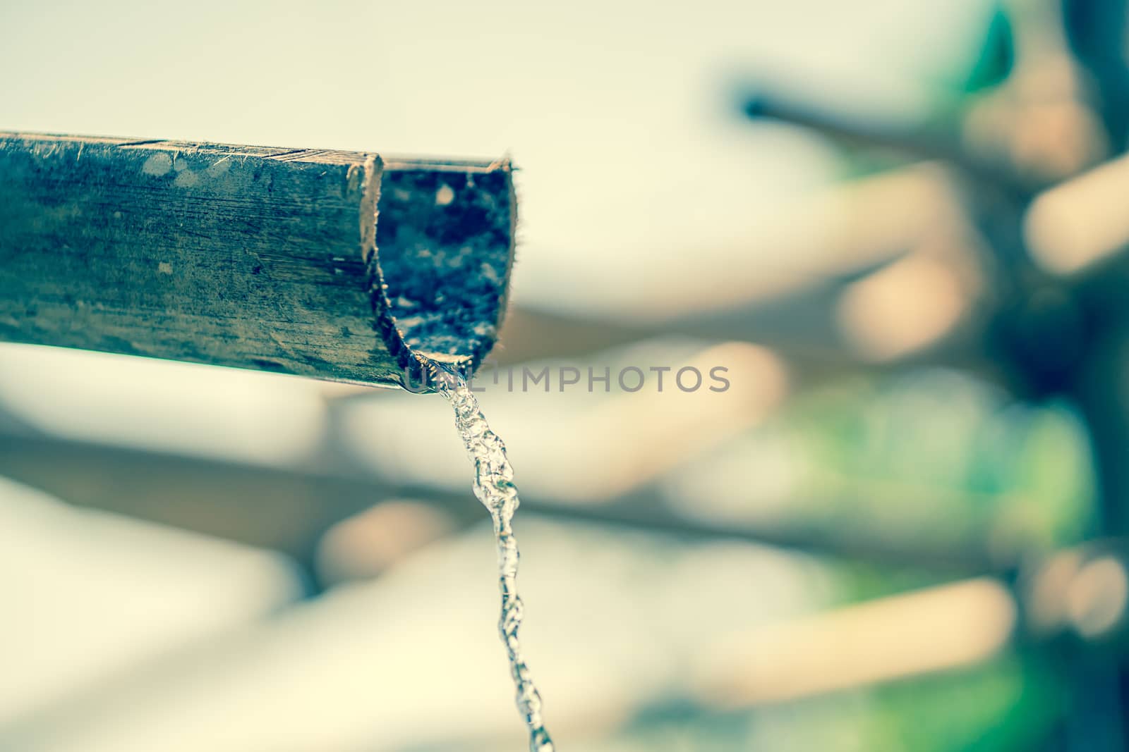 Traditional bamboo fountain with water in zen garden