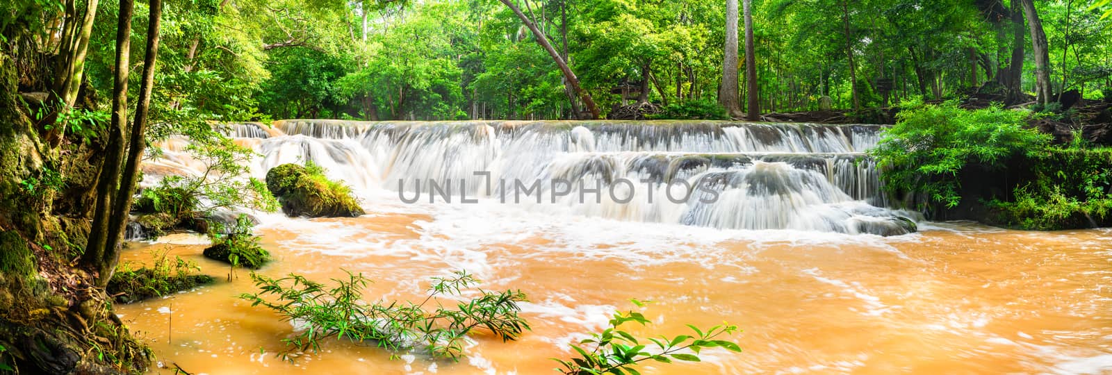 Panorama Waterfall on mountain in tropical forest at National pa by stoonn