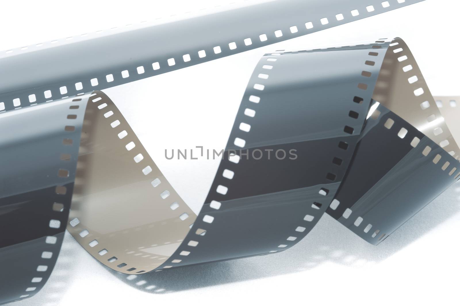 Coiled roll of exposed 35 mm film unrolled on a white background in a cinematic or photographic background