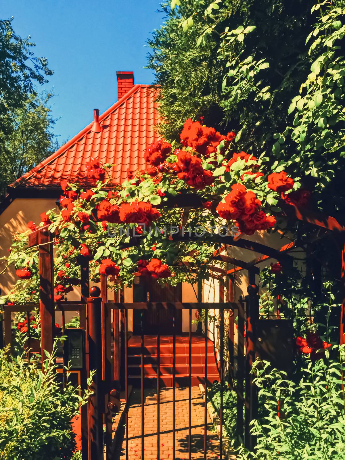 Beautiful green garden with flowers on luxury backyard by Anneleven