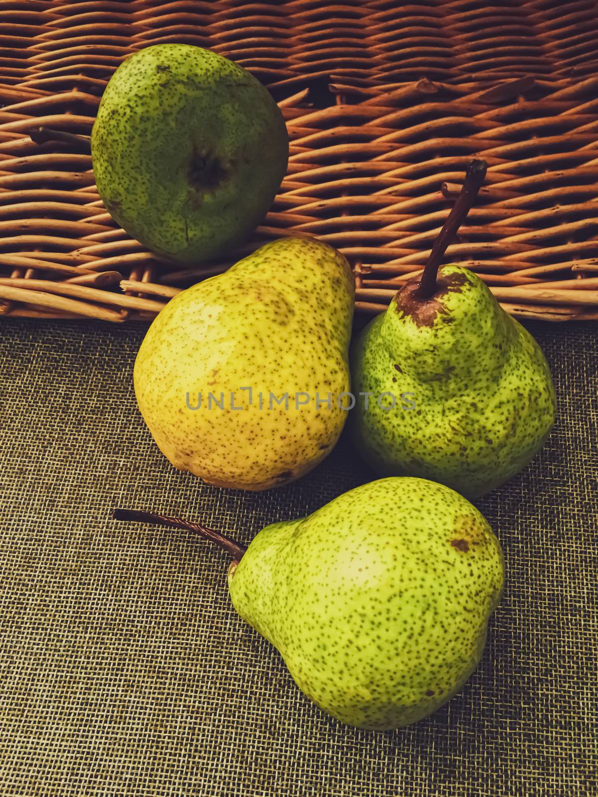 Organic pears on rustic linen background, fruits farming and agriculture