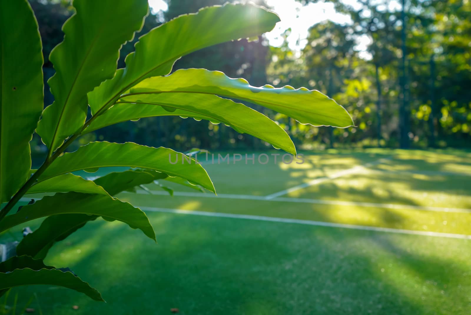 Beautiful scenery View of artificial grass tennis court.