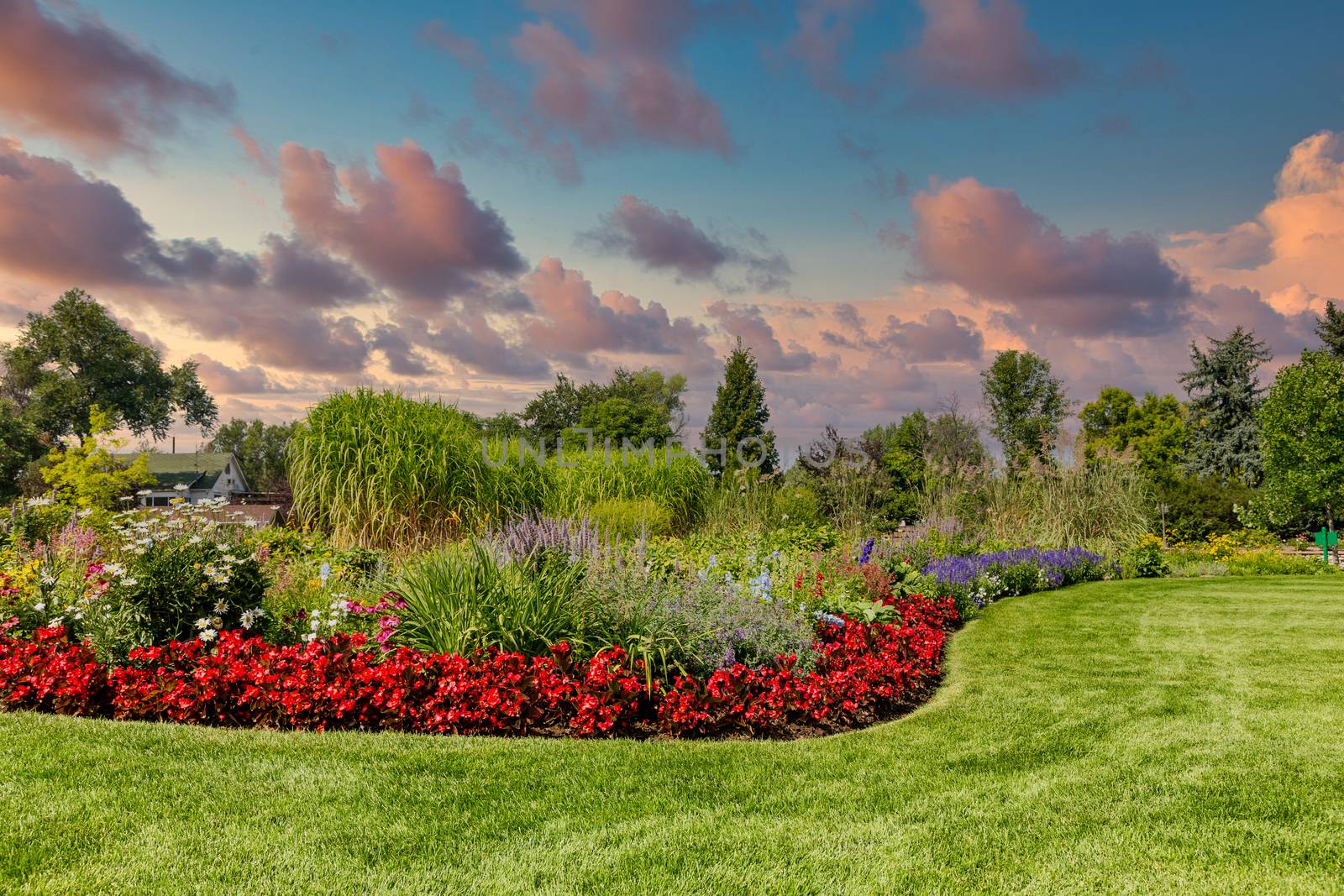 Manicured Green Lawn and Lush Garden by dbvirago