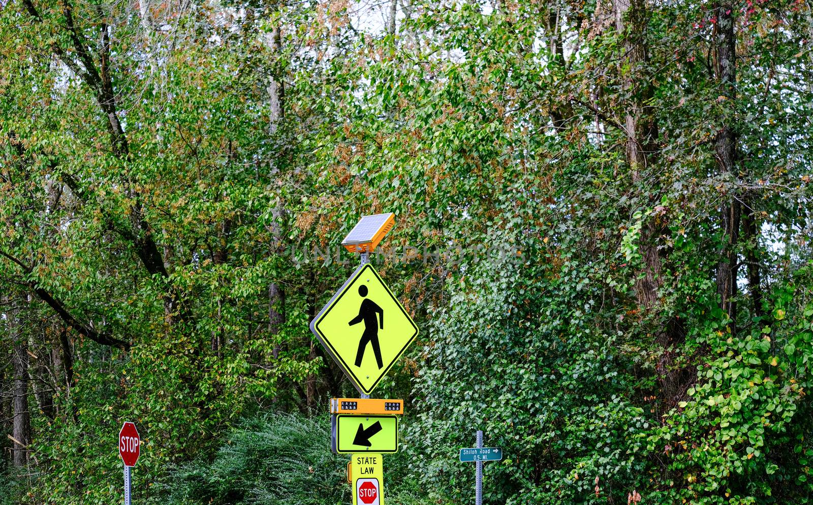 Solar Pedestrian Crosswalk Sign on a Rural Fitness Trail