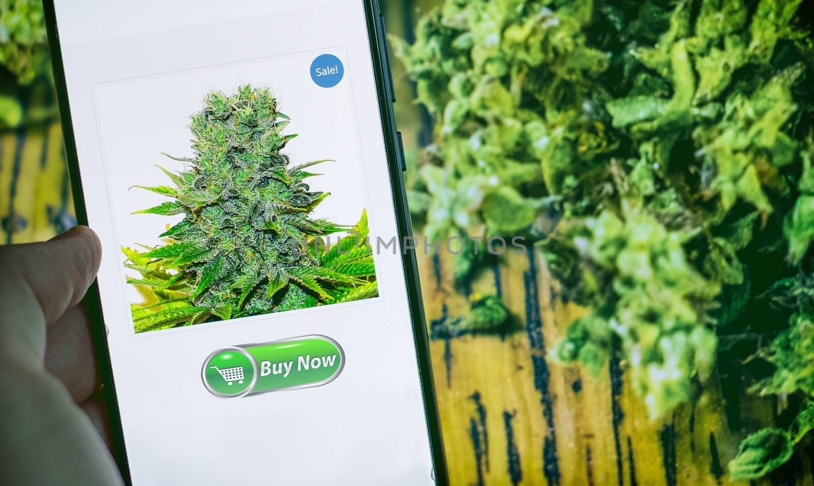 cannabis light online shop buy ganja light with smartphone