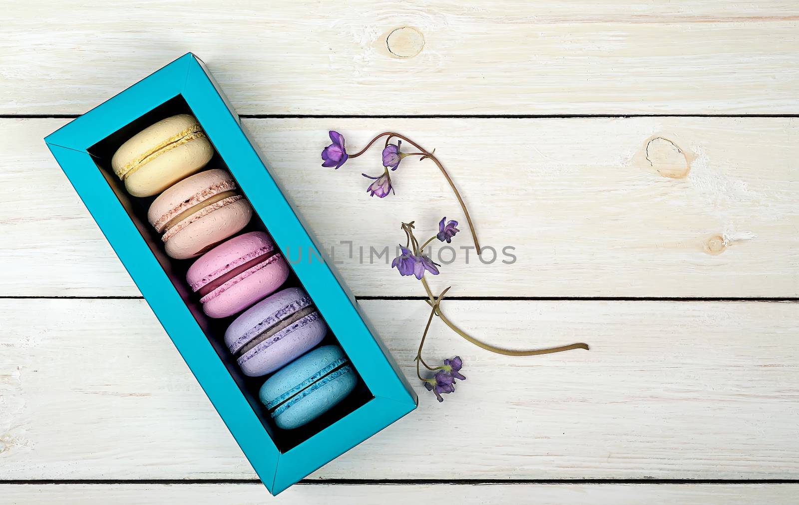 Macaroons in gift box next to violet on wooden background