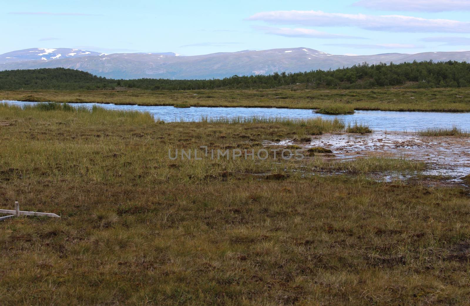 Mountain wetland in arctic tundra in abisko national park, northern Sweden by michaelmeijer