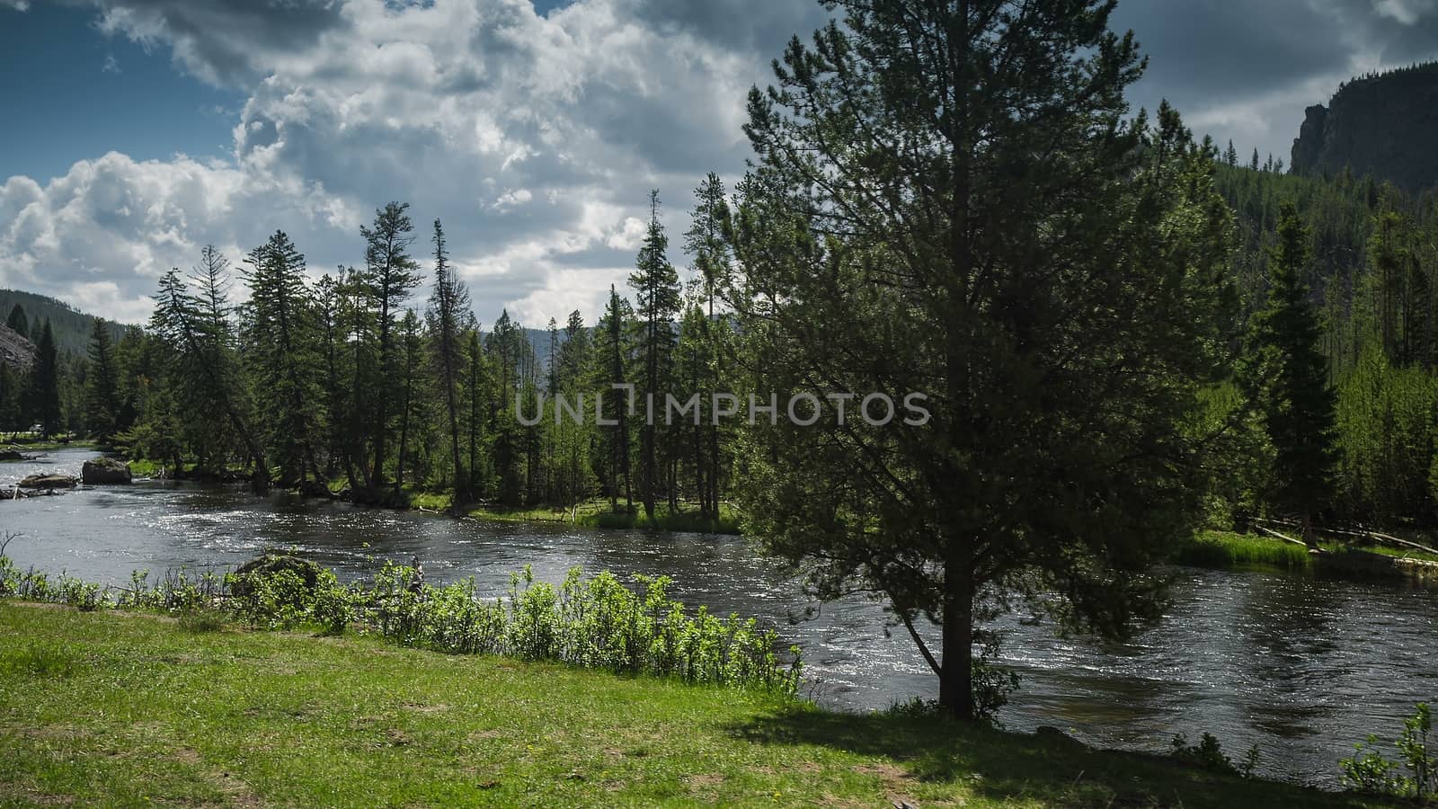 Yellowstone National Park, Wyoming USA autumn river by bhavik_jagani