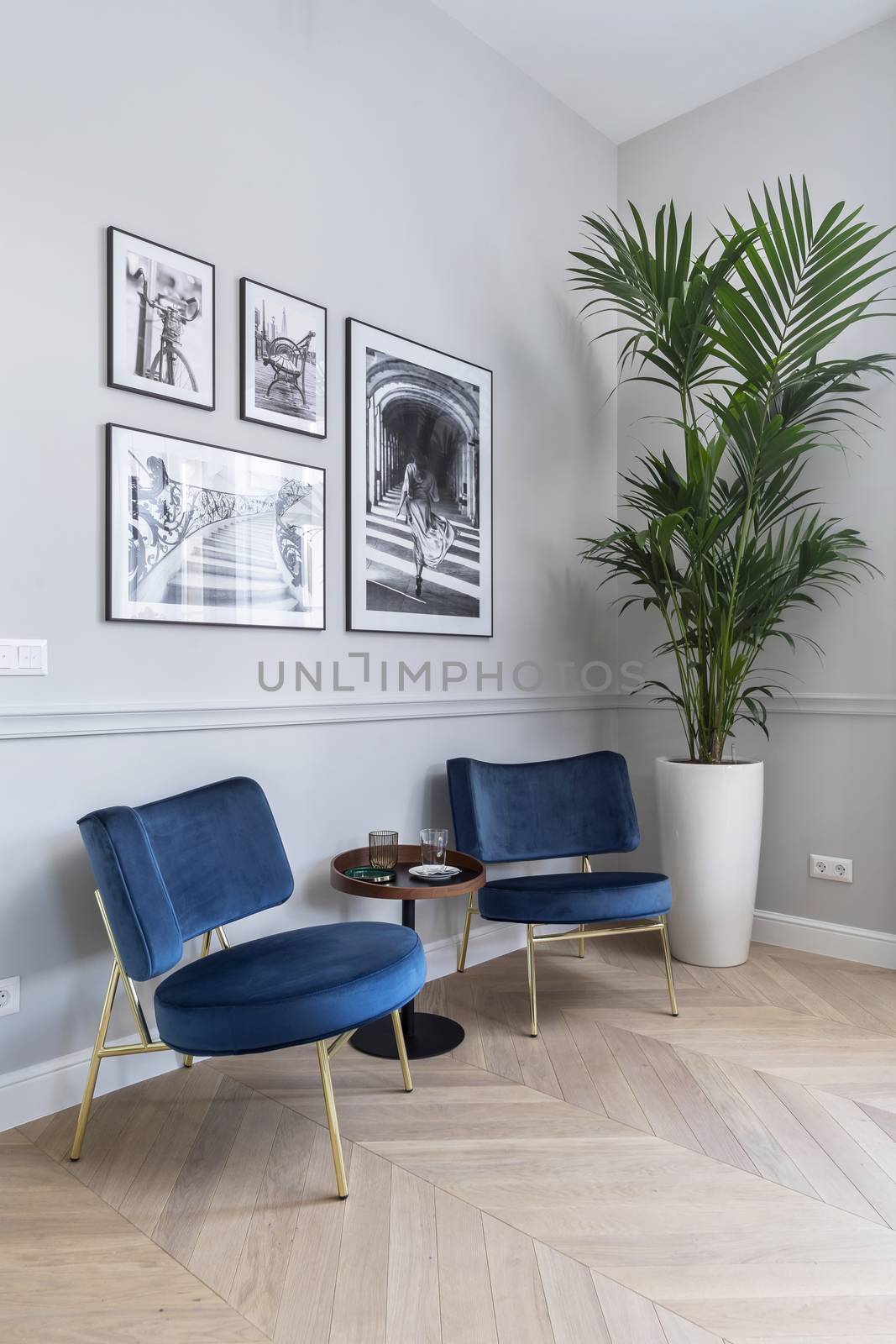 Conversation area with black and white pictures on the wall and a big green plant in a bright flat.