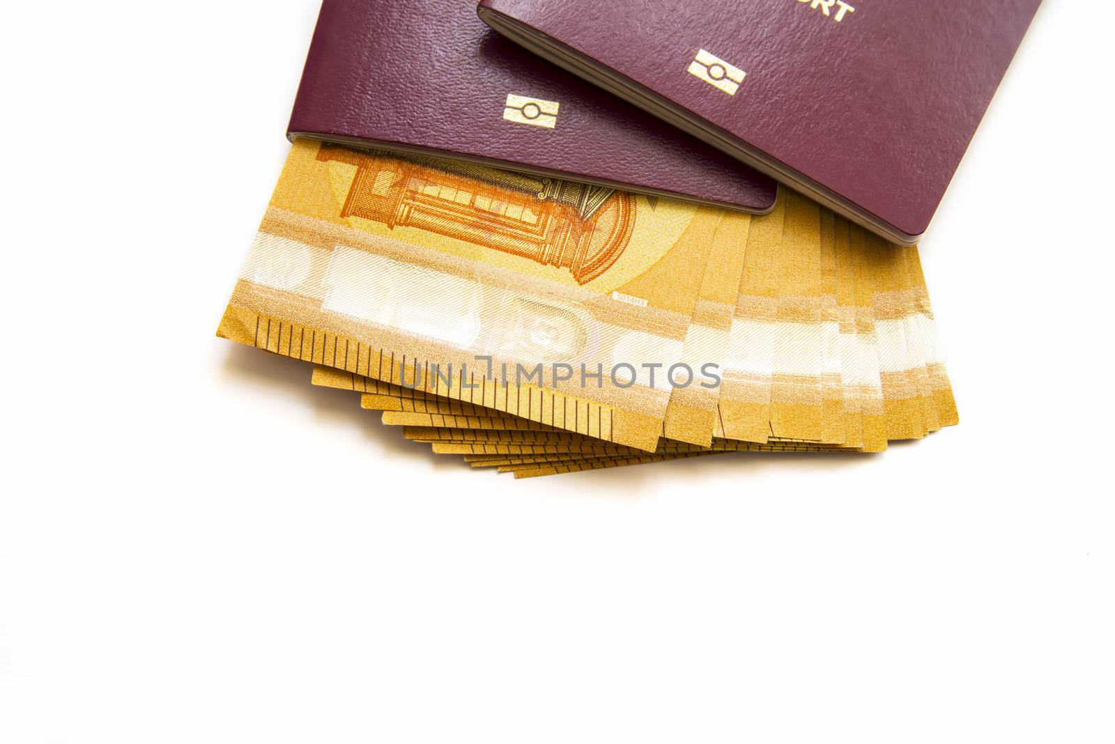 Family biometric passports and euro banknotes, close image
