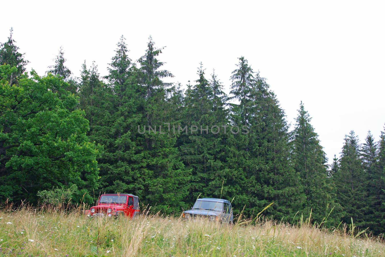 Off road vehicles on green hill, close by forest