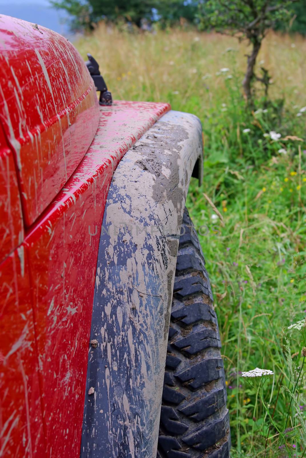 Dirty mudguard of red off road car  with summer nature background