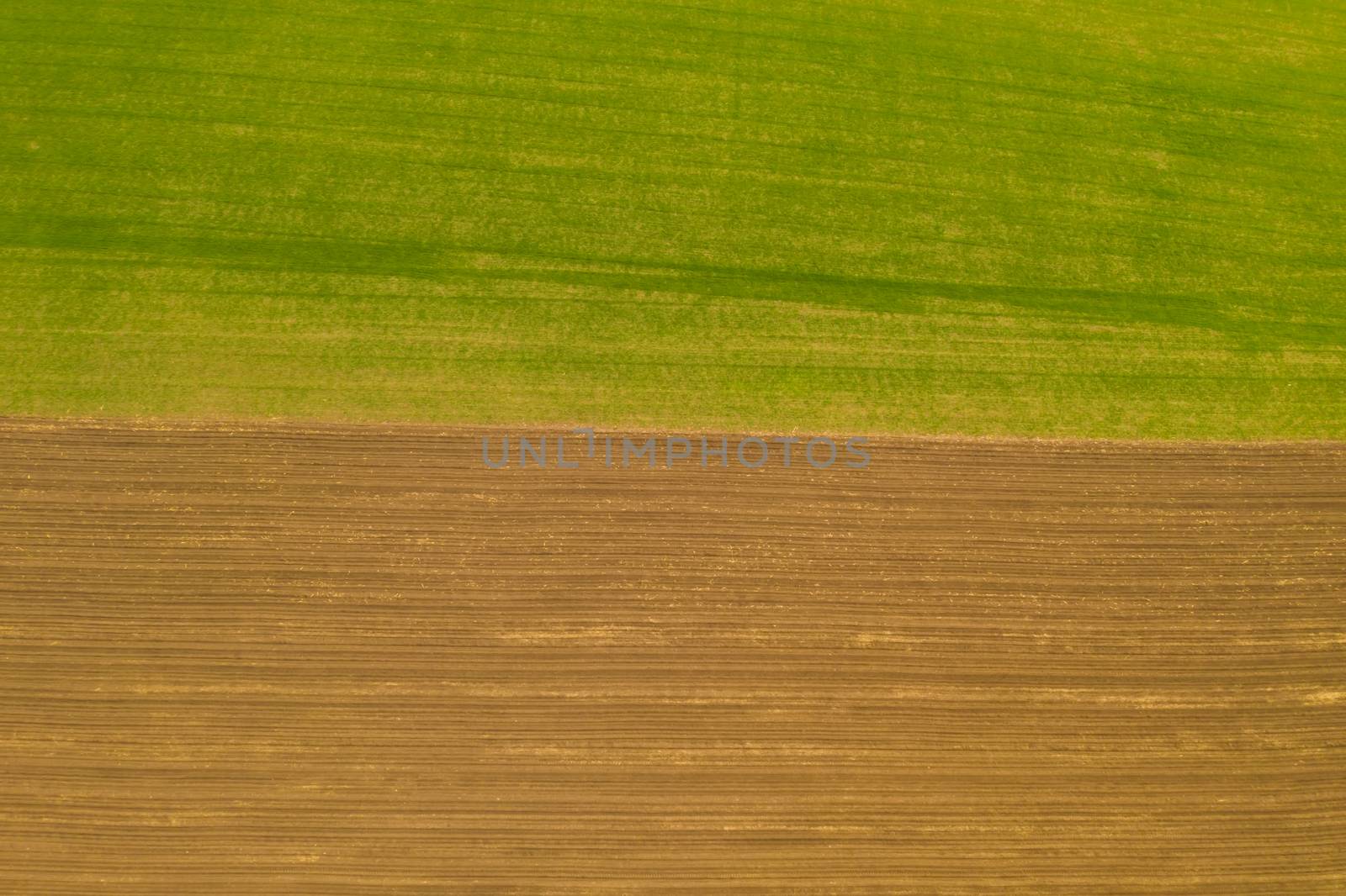 Fields texture from above during springtime, half green half ground