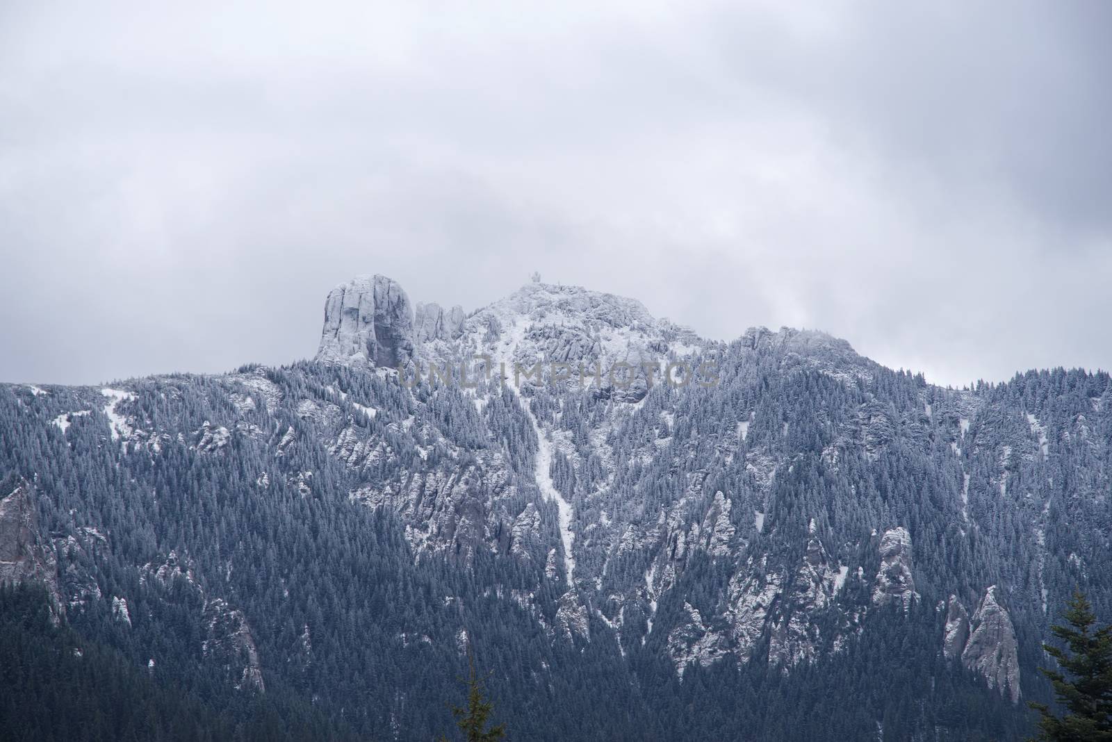 Fresh snow on mountain peak by savcoco