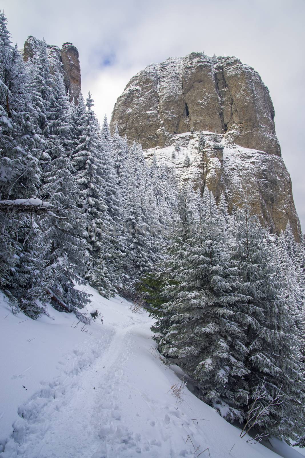 Snow path near huge rock in the mountains. by savcoco