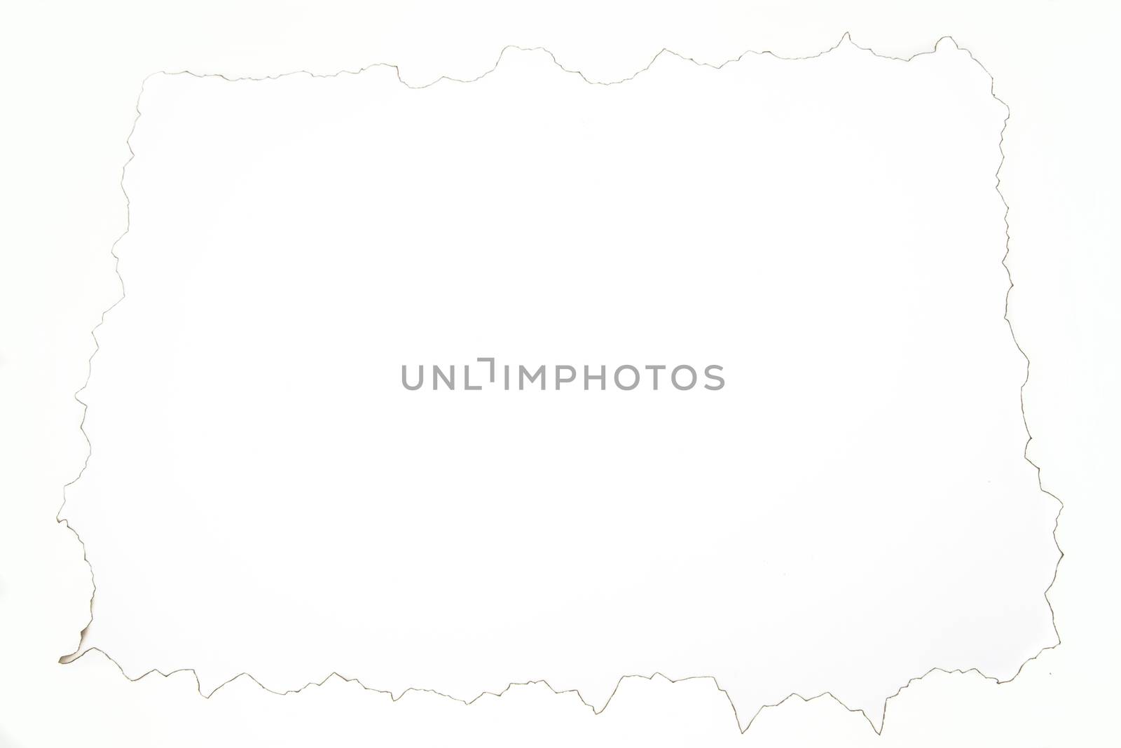 Wrinkle burn white paper, close up image, burnt edges