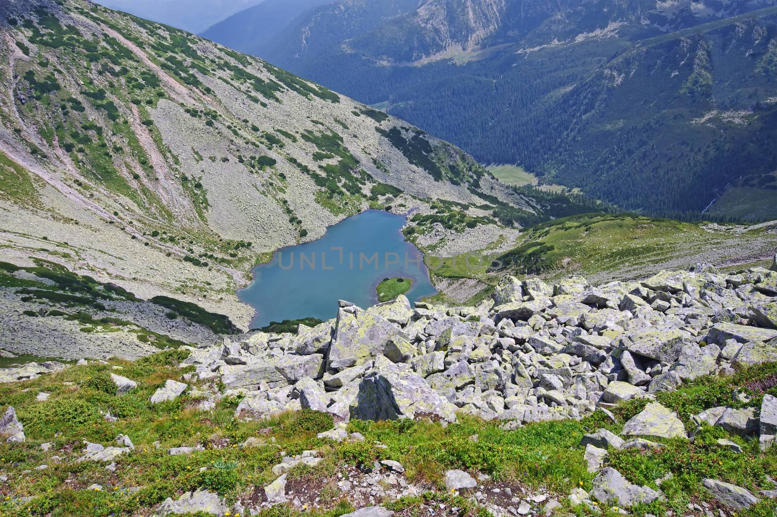Alpine lake in a summer landscape, Romanian Carpathians