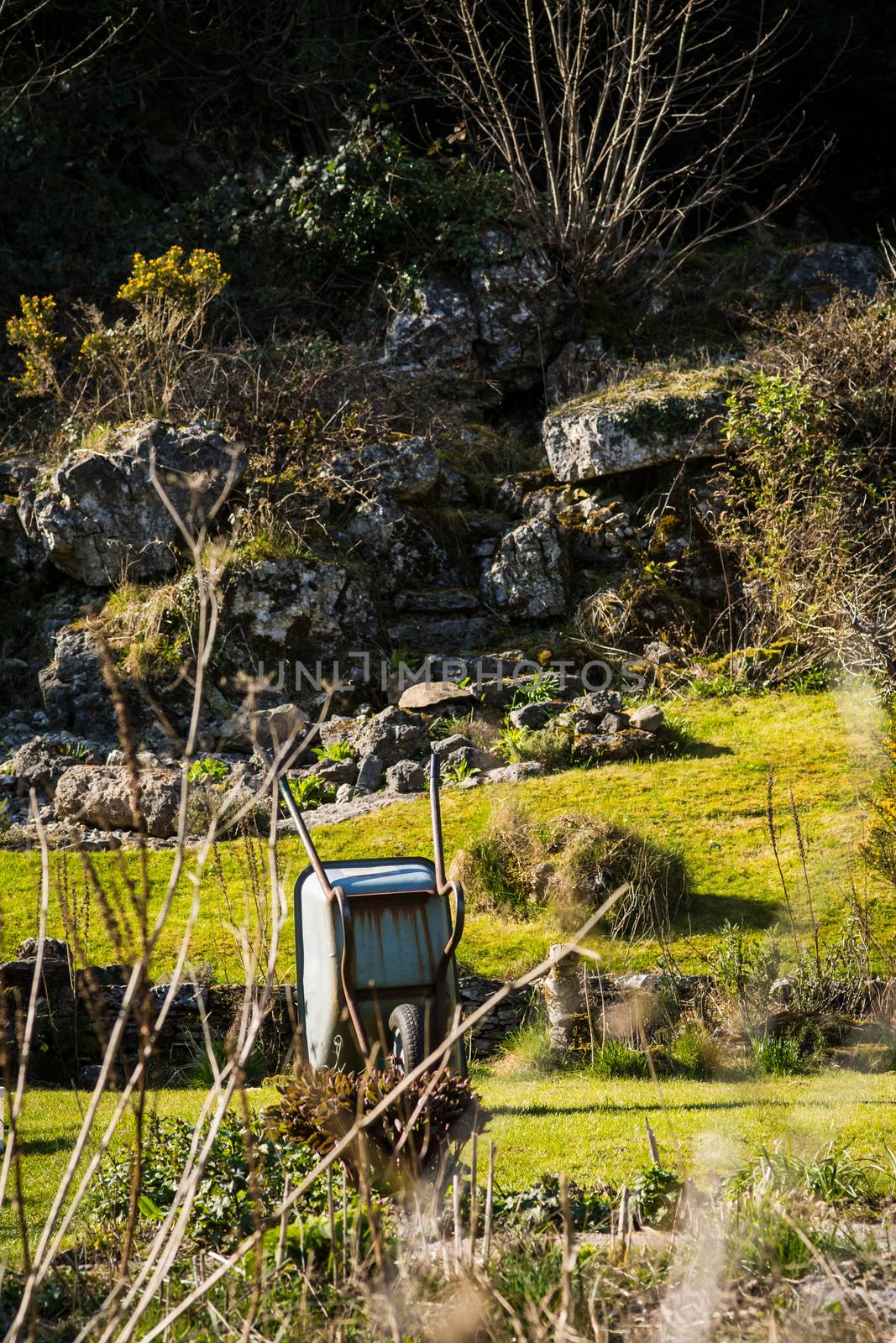 old wheelbarrow and gardening tools in Springtime by paddythegolfer
