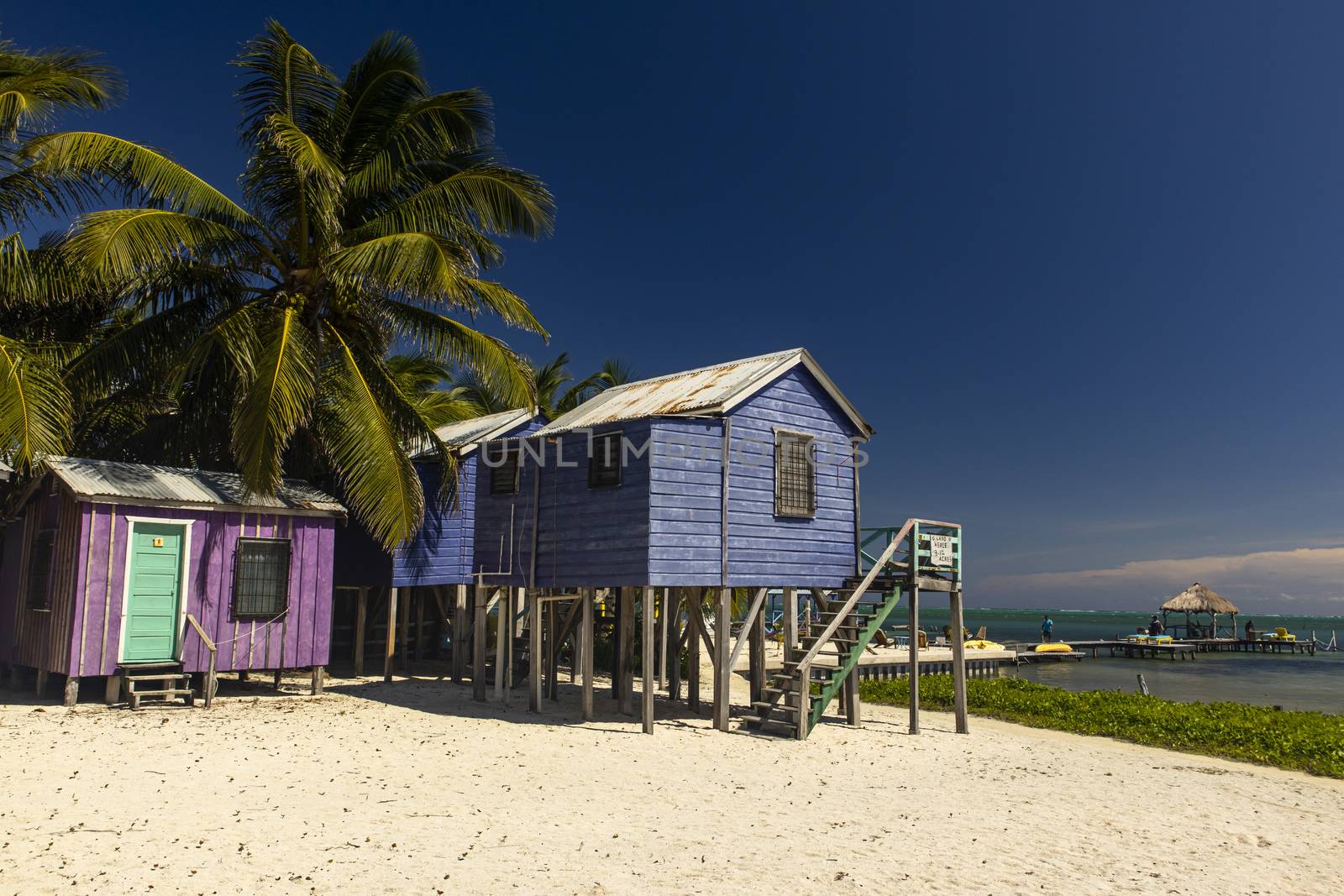 colorful houses in caye caulker belize