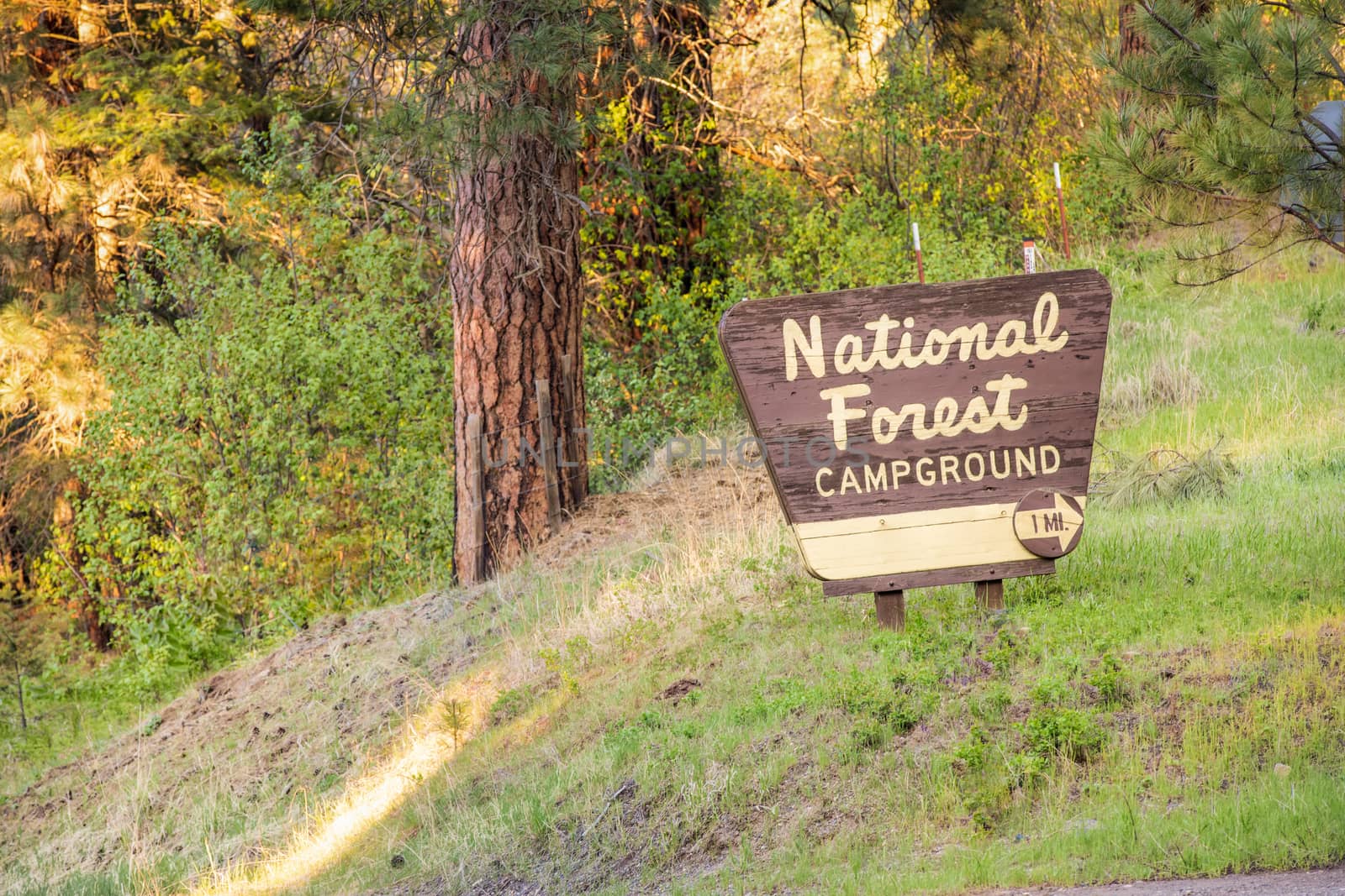 Nation forest sign showing you where to camp