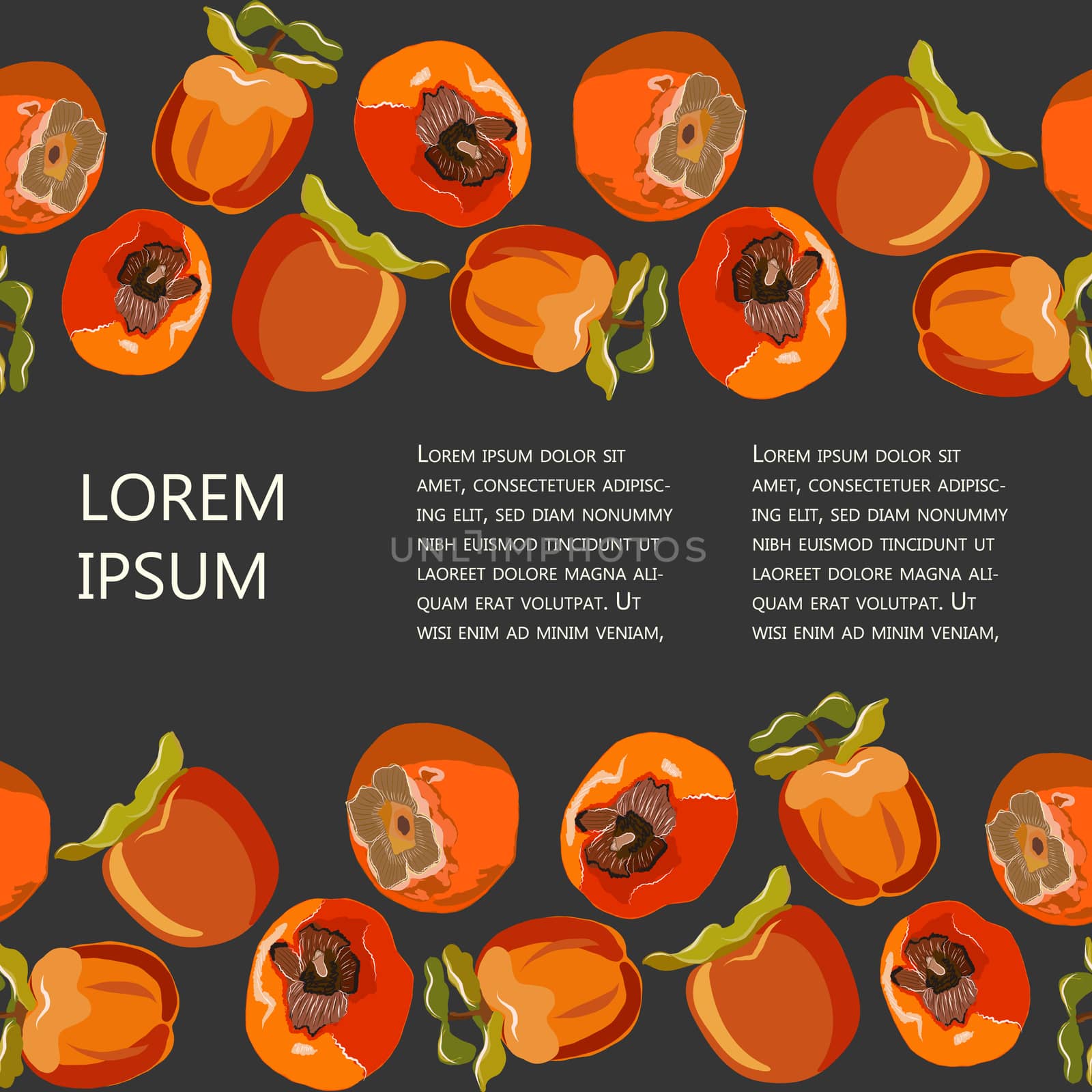 Tropical persimmon seamless horizontal border with copy space vector illustration. Orange sharon fruit set for design, banner, menu, poster.