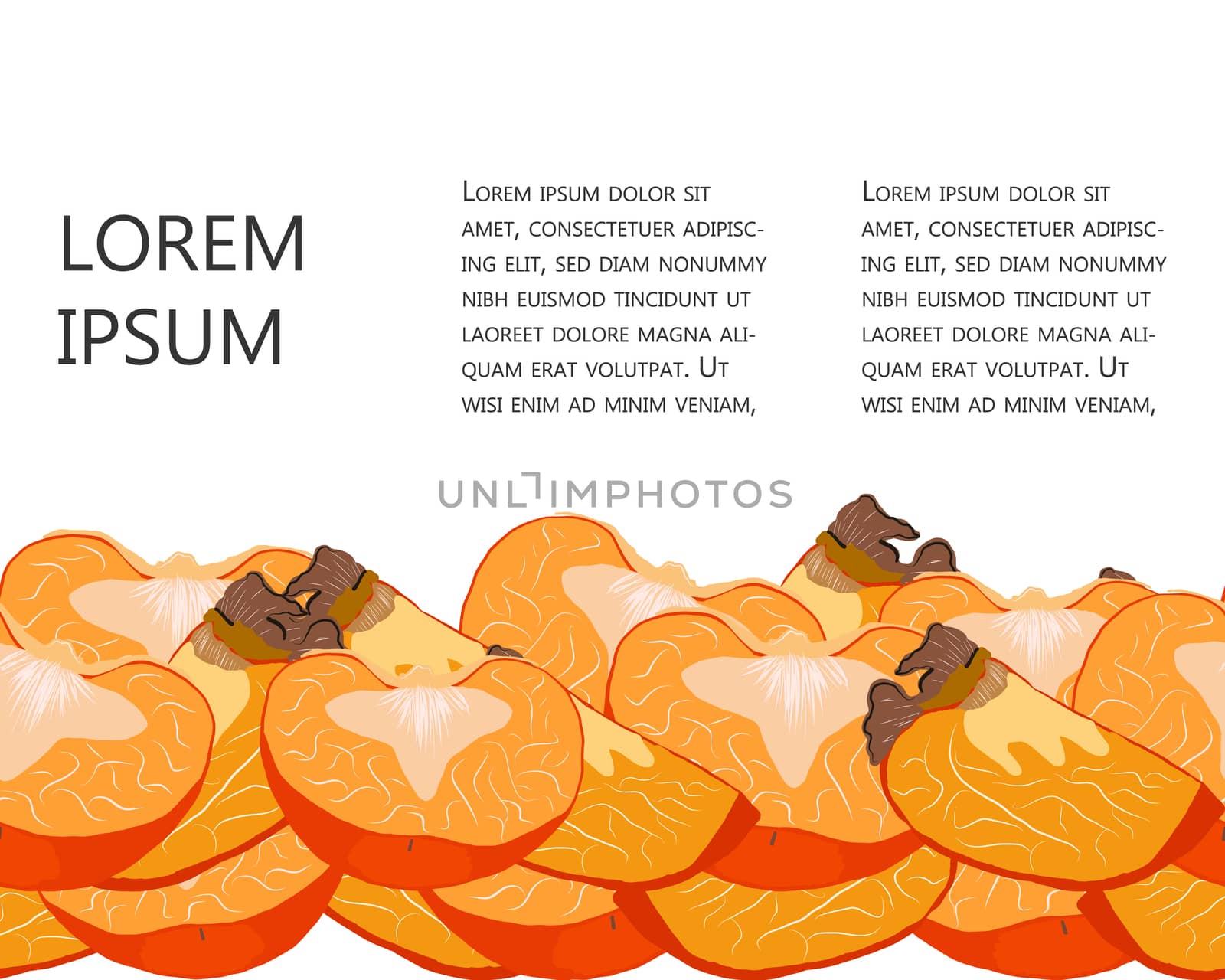 Sliced juicy persimmon seamless horizontal border with copy space vector illustration. Orange sharon fruit set for design, banner, menu, poster.