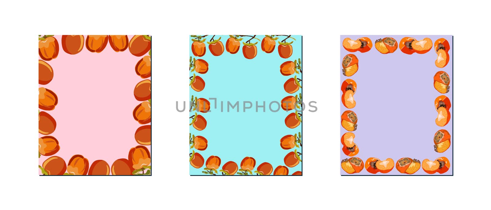 Set with three rectangular persimmon frames vector illustration. Sharon fruit wreath set for design, banner, menu, poster.