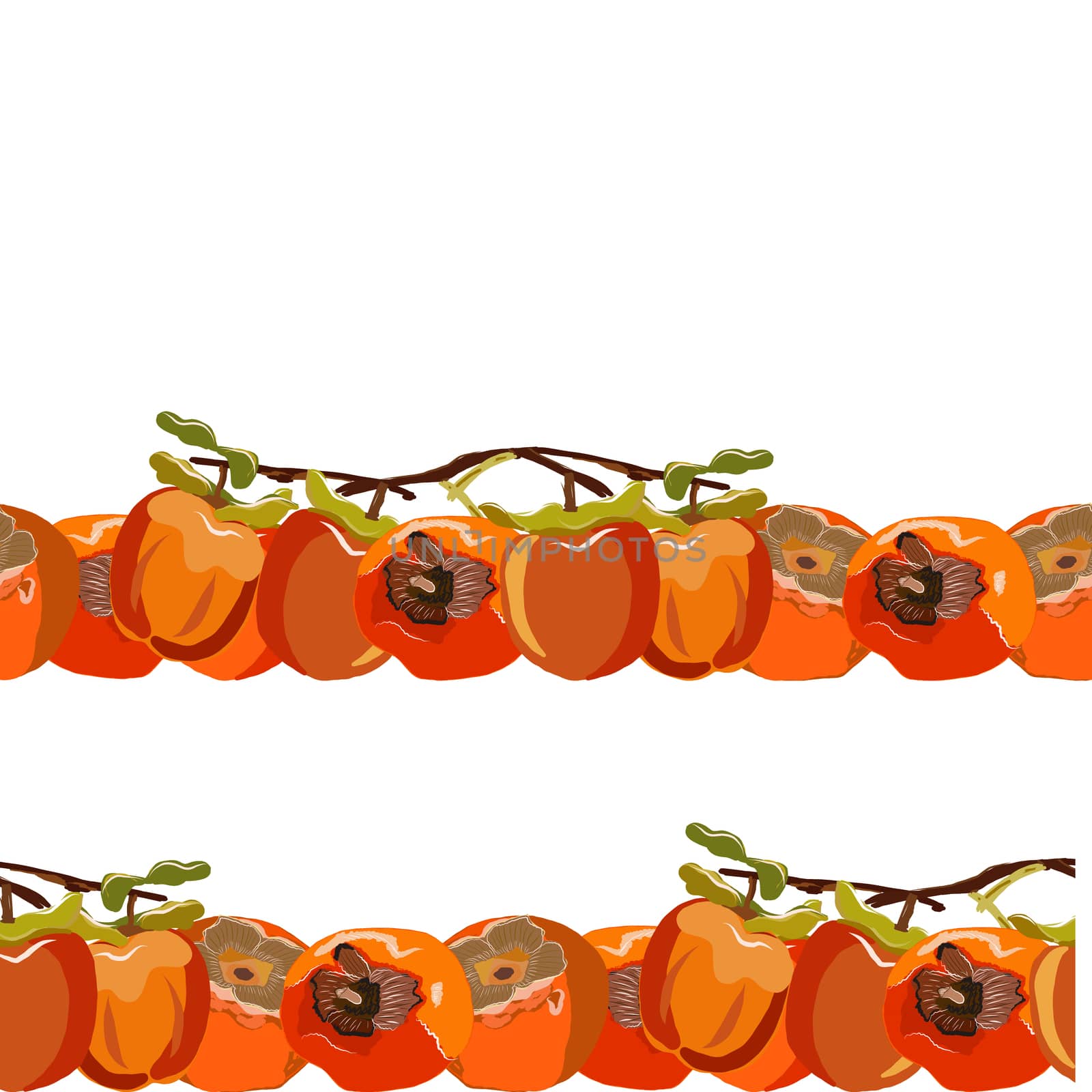 Persimmon whole with leaves seamless horizontal border vector illustration. by Nata_Prando