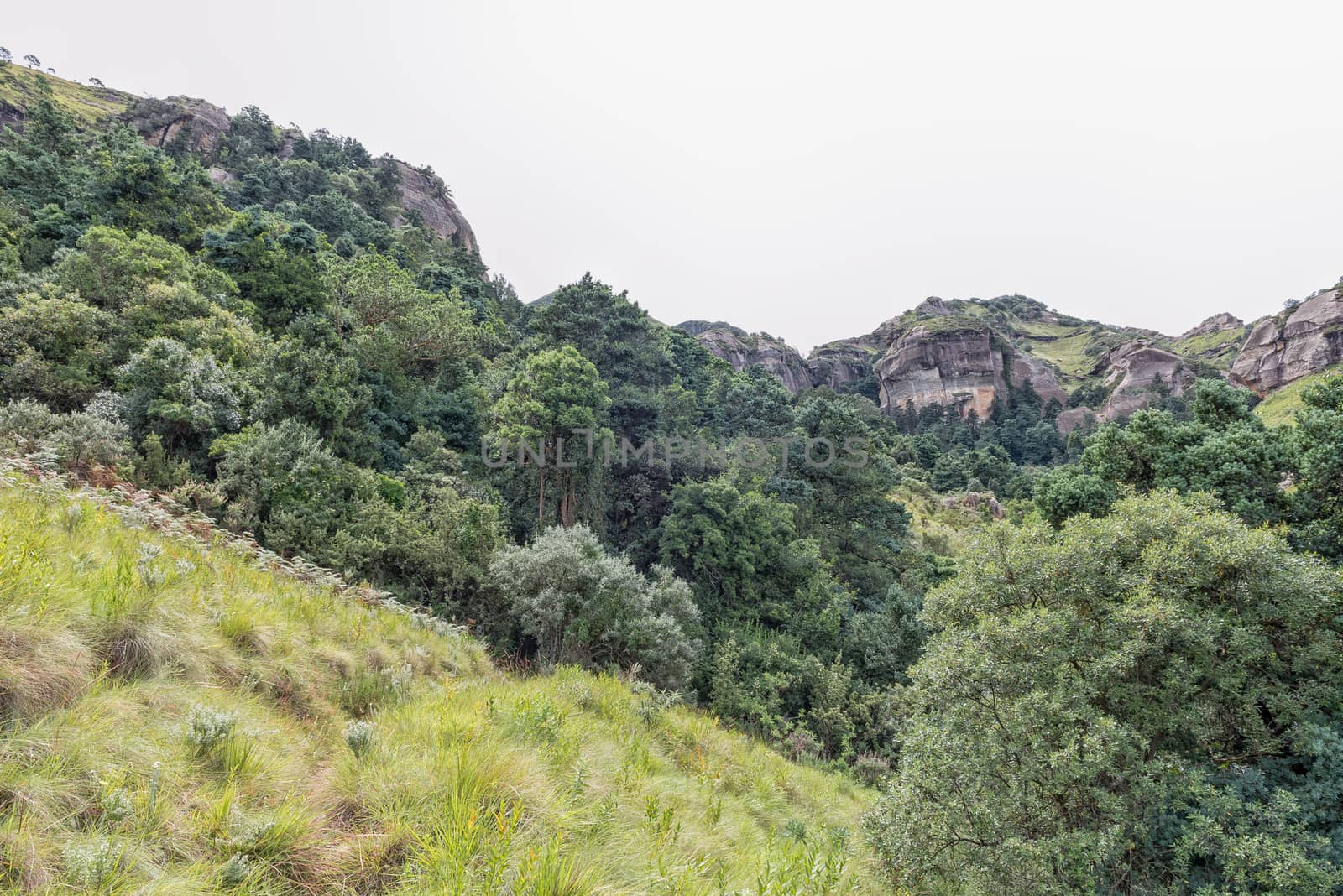 The landscape on the hiking trail to the Grotto near Mahai in the Drakensberg