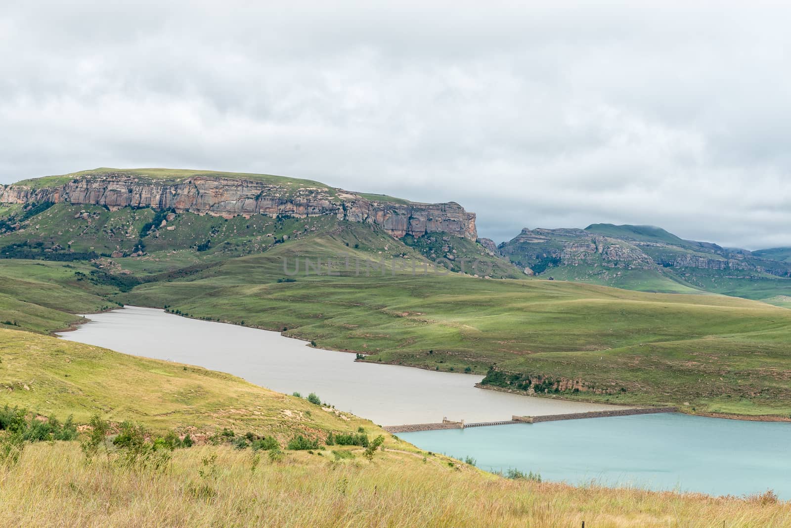 Driekloof Dam wall separates its water from the Sterkfontein Dam by dpreezg