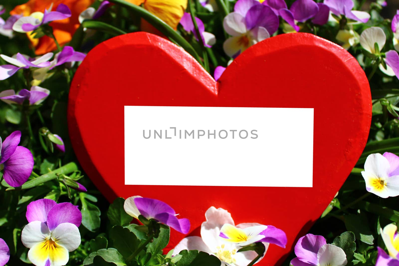 The picture shows a red wooden heart with a text space in pansies