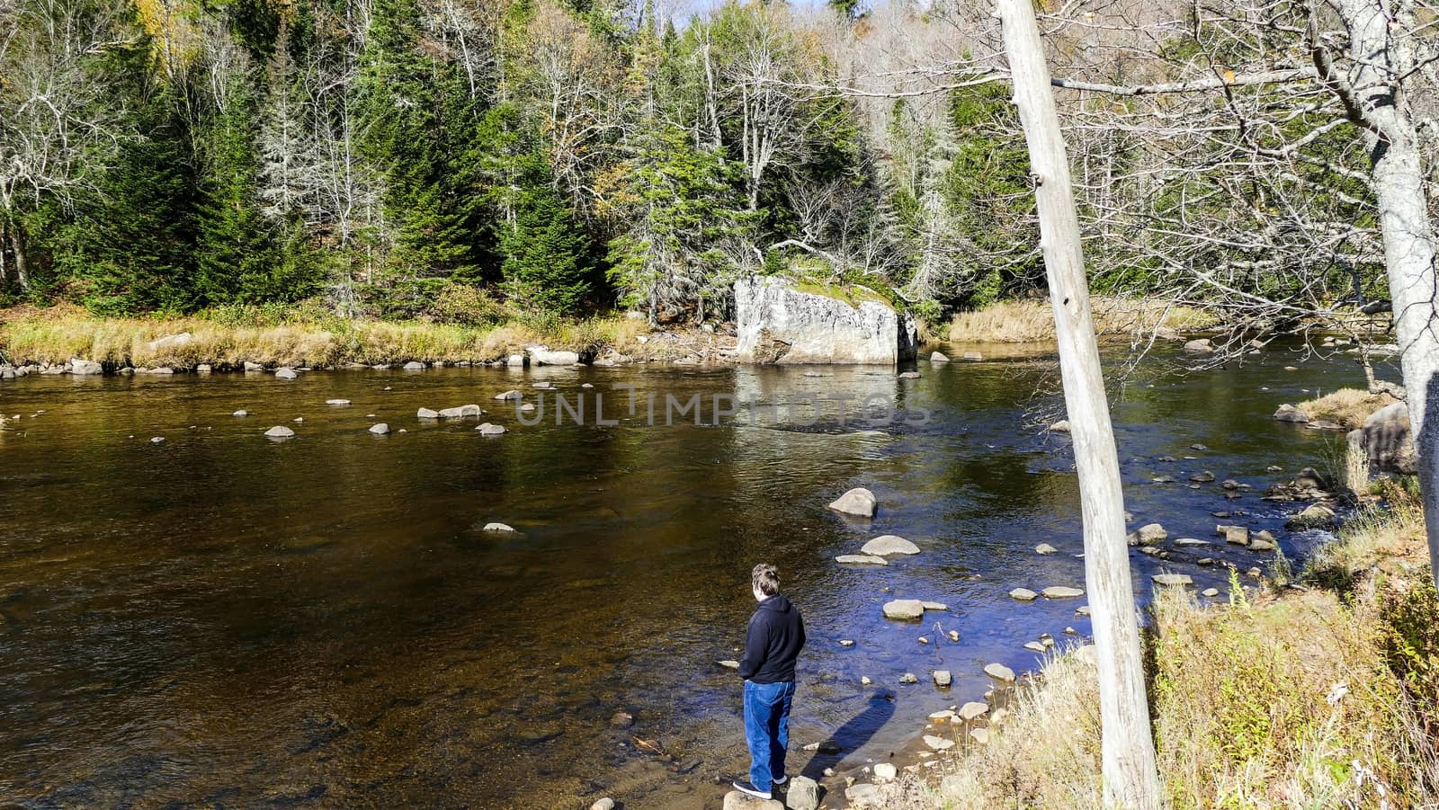 Running Creek Through Rocks and Stones Causing White Water on a Sunny Autumn Day