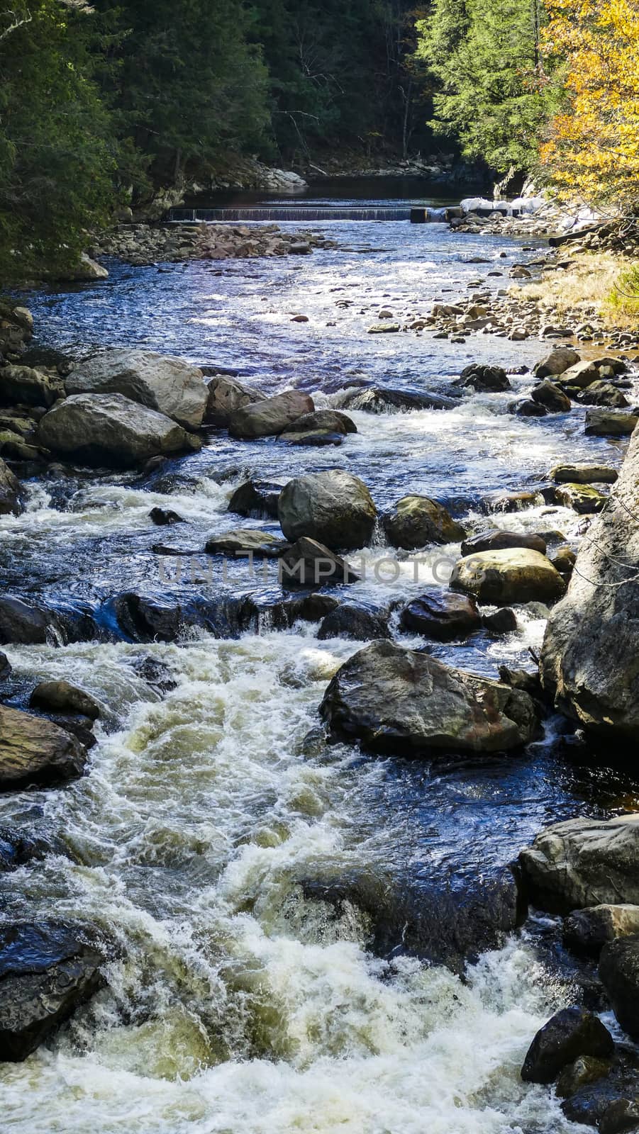 Running Creek Through Rocks and Stones Causing White Water on a Sunny Autumn Day