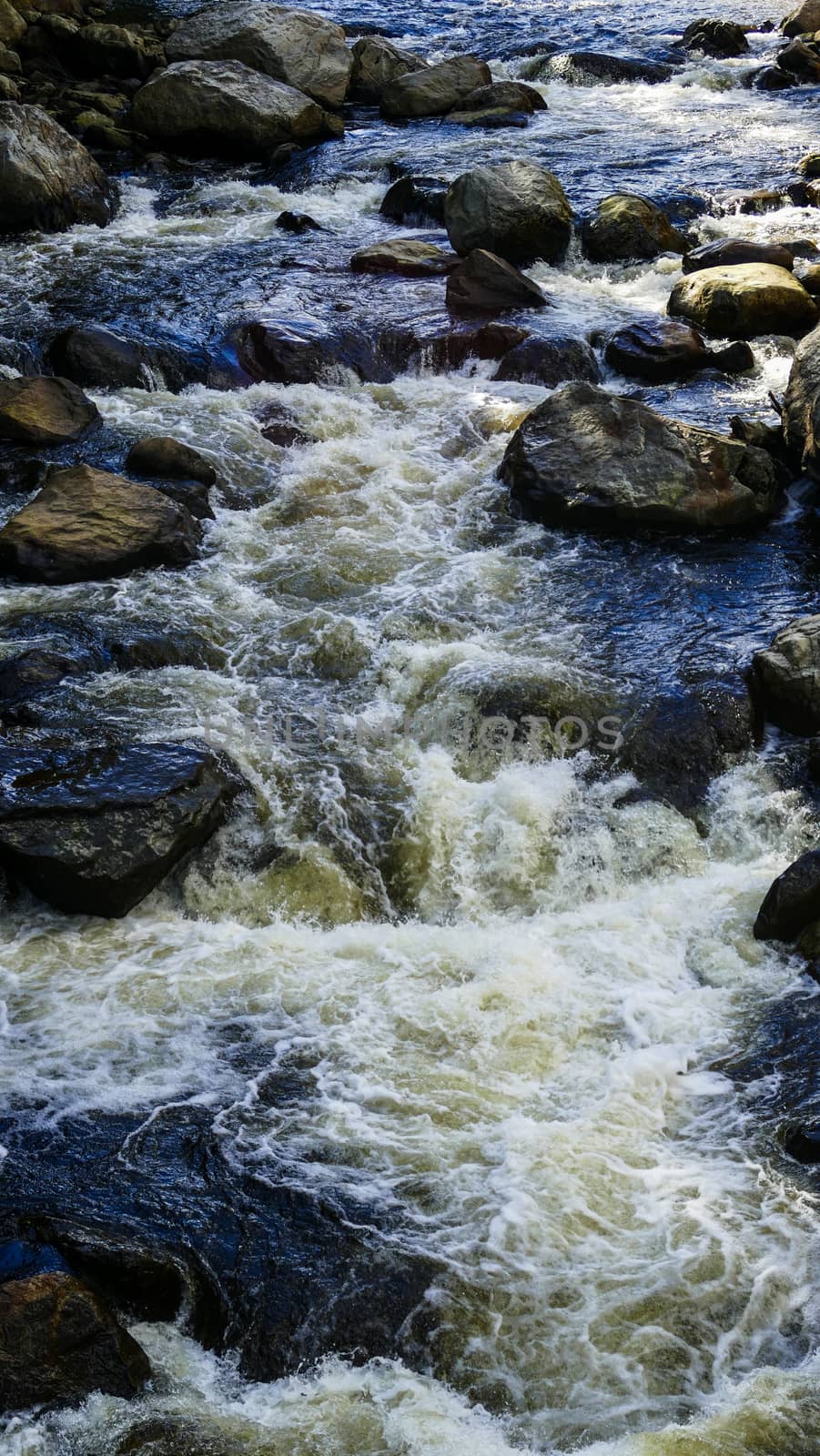 Running Creek Through Rocks and Stones Causing White Water on a Sunny Autumn Day