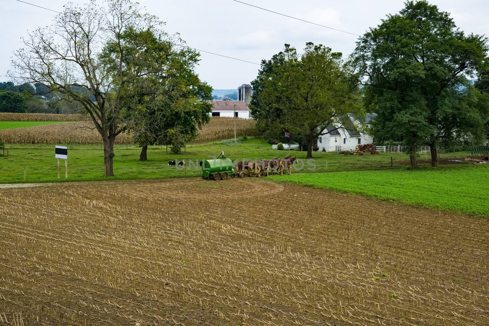Amish Farmer Filling up Liquid Manure Tank to Fertilize his Fields