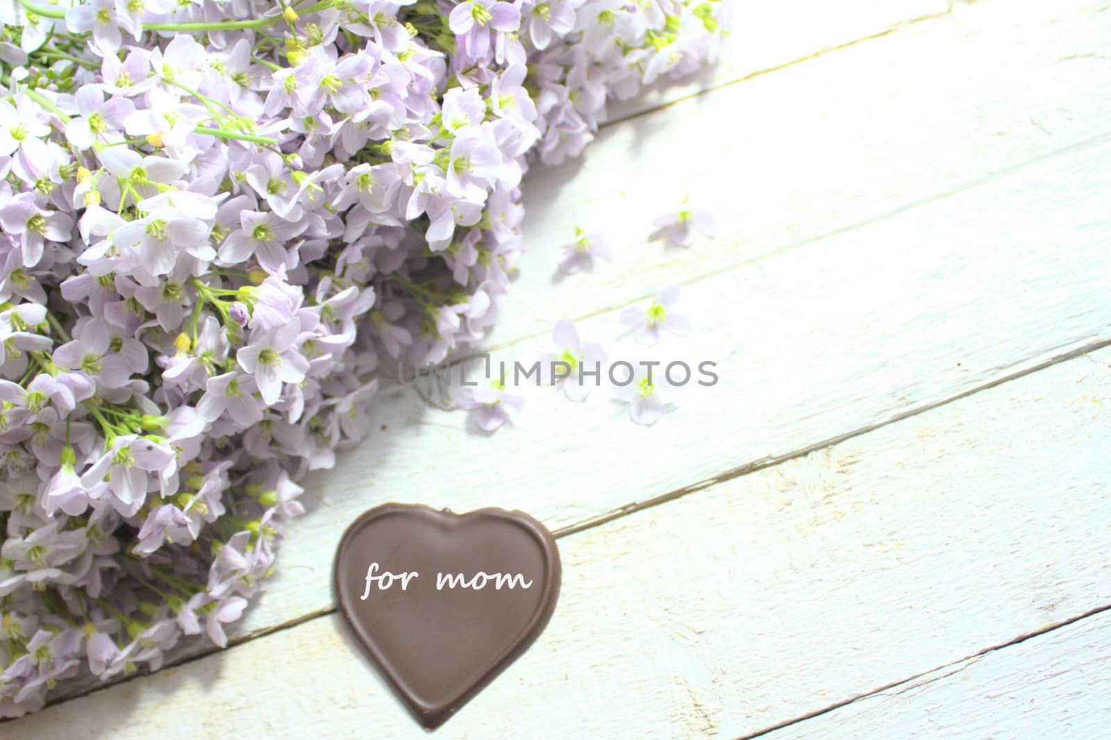 The picture shows cuckoo flowers and chocolate hearts