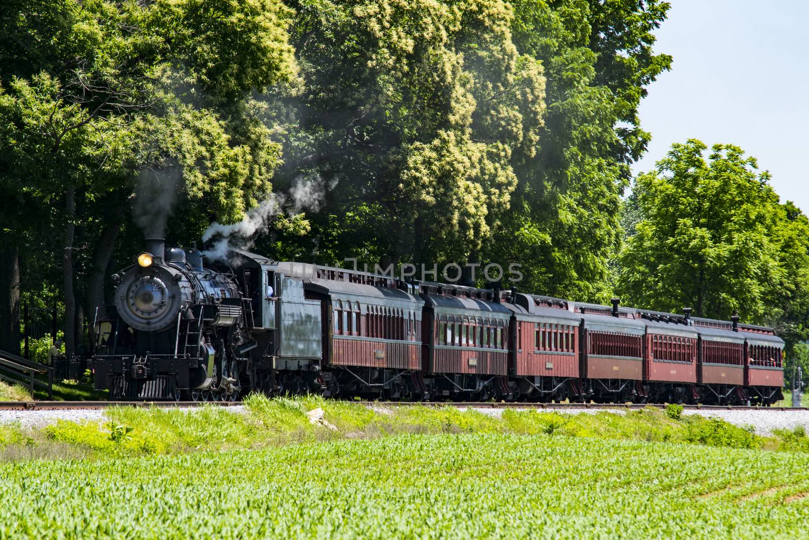 Steam Passenger Train Pulling into Picnic Area Blowing Smoke on a Sunny Summer Day