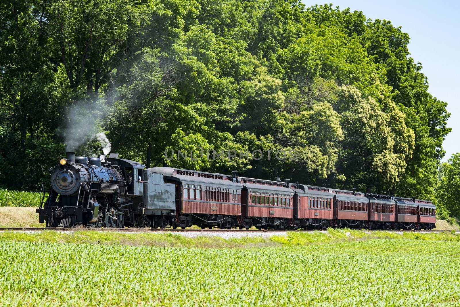 Steam Passenger Train Pulling into Picnic Area Blowing Smoke on a Sunny Summer Day