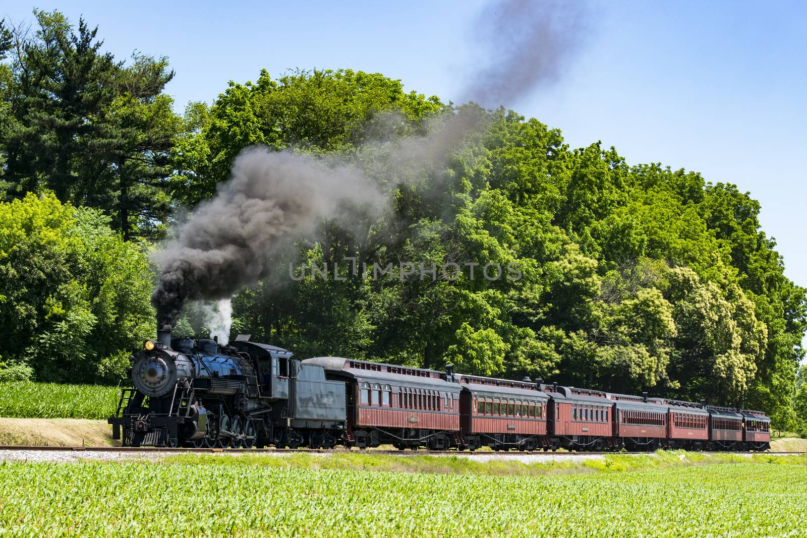 Steam Passenger Train Pulling into Picnic Area Blowing Smoke on a Sunny Summer Day