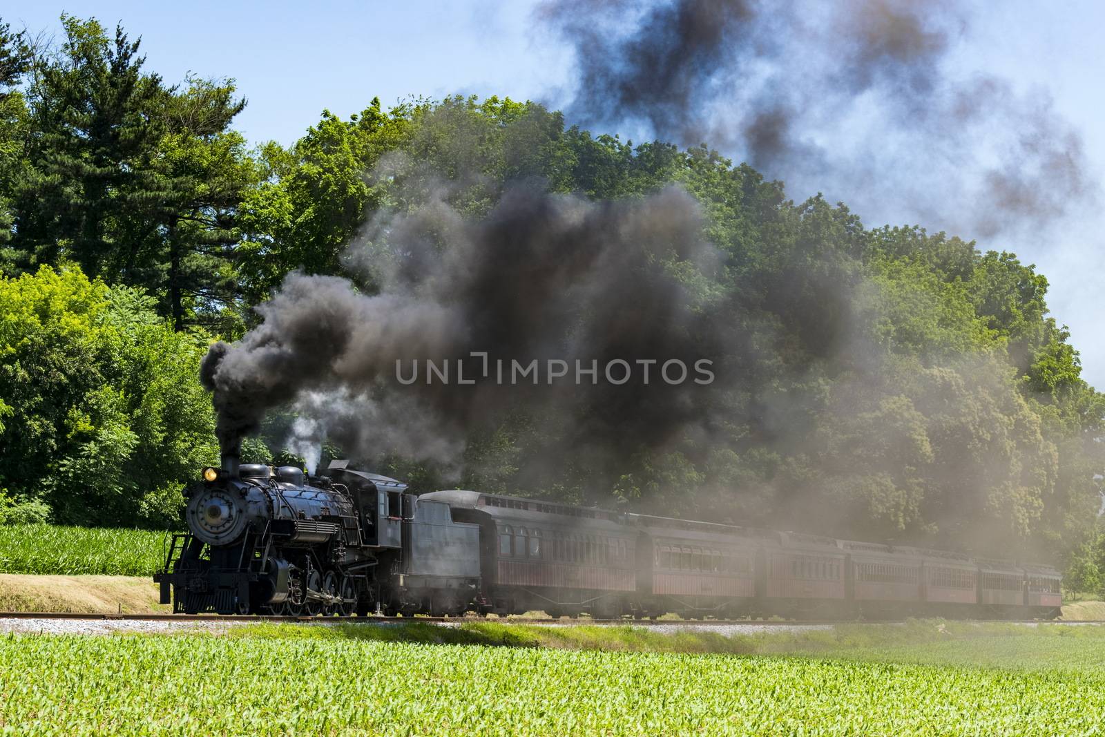 Steam Passenger Train Pulling into Picnic Area Blowing Smoke on a Sunny Summer Day