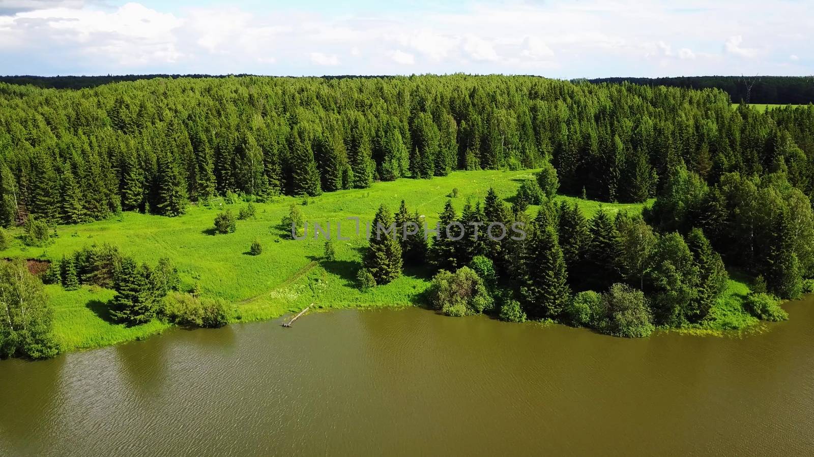 Green tree forest background, beautiful bird eye view on fresh pines in the morning sun light