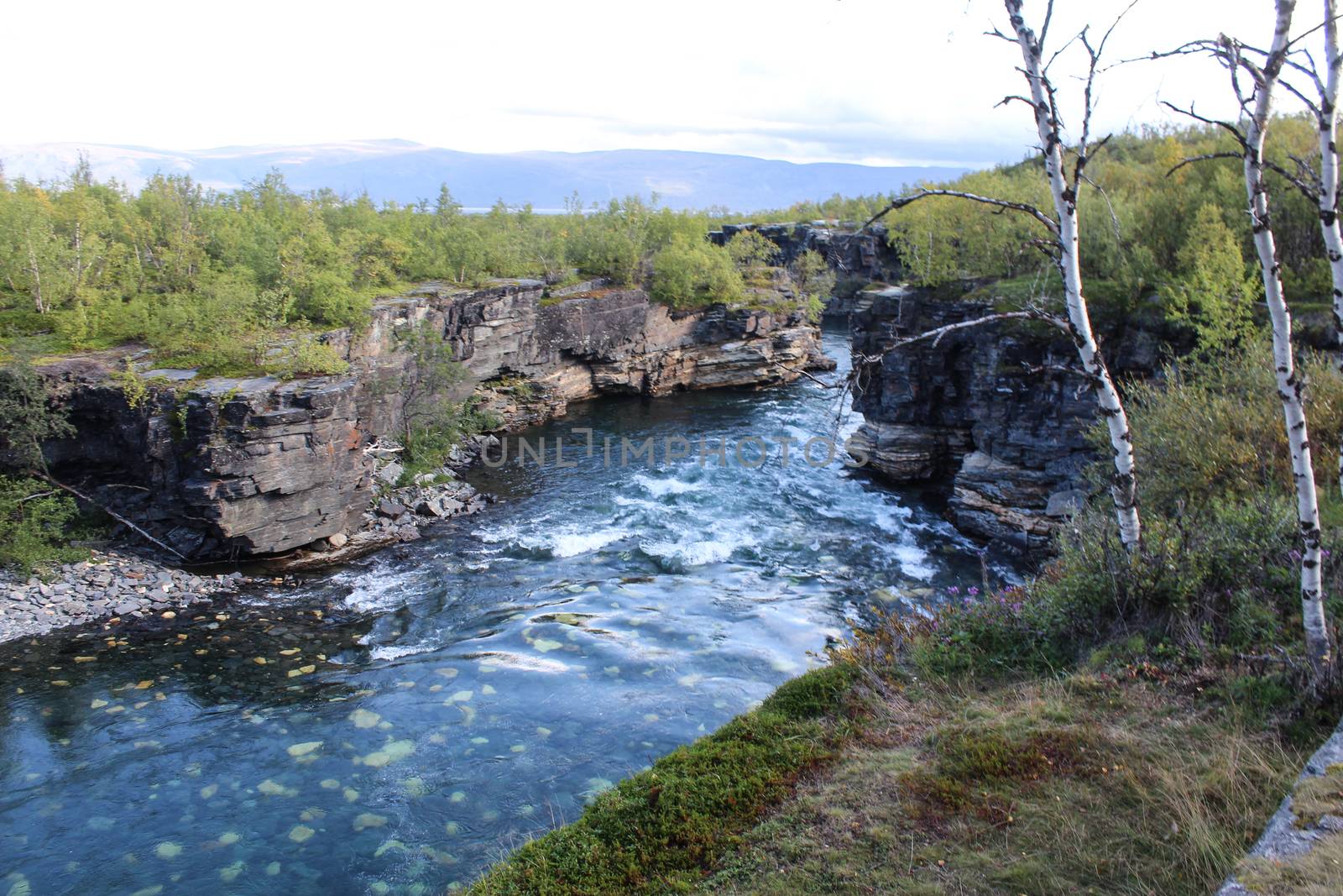 Overview of Kungsleden river in the arctic tundra. Abisko national park, Nothern Sweden