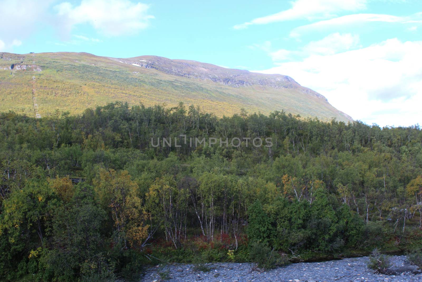 Overview of Kungsleden river in the arctic tundra. Abisko national park, Nothern Sweden