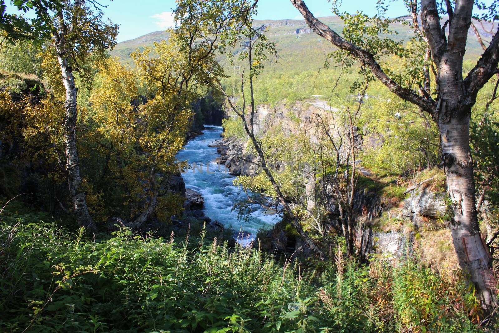 Overview of Kungsleden river in the arctic tundra. Abisko national park, Nothern Sweden