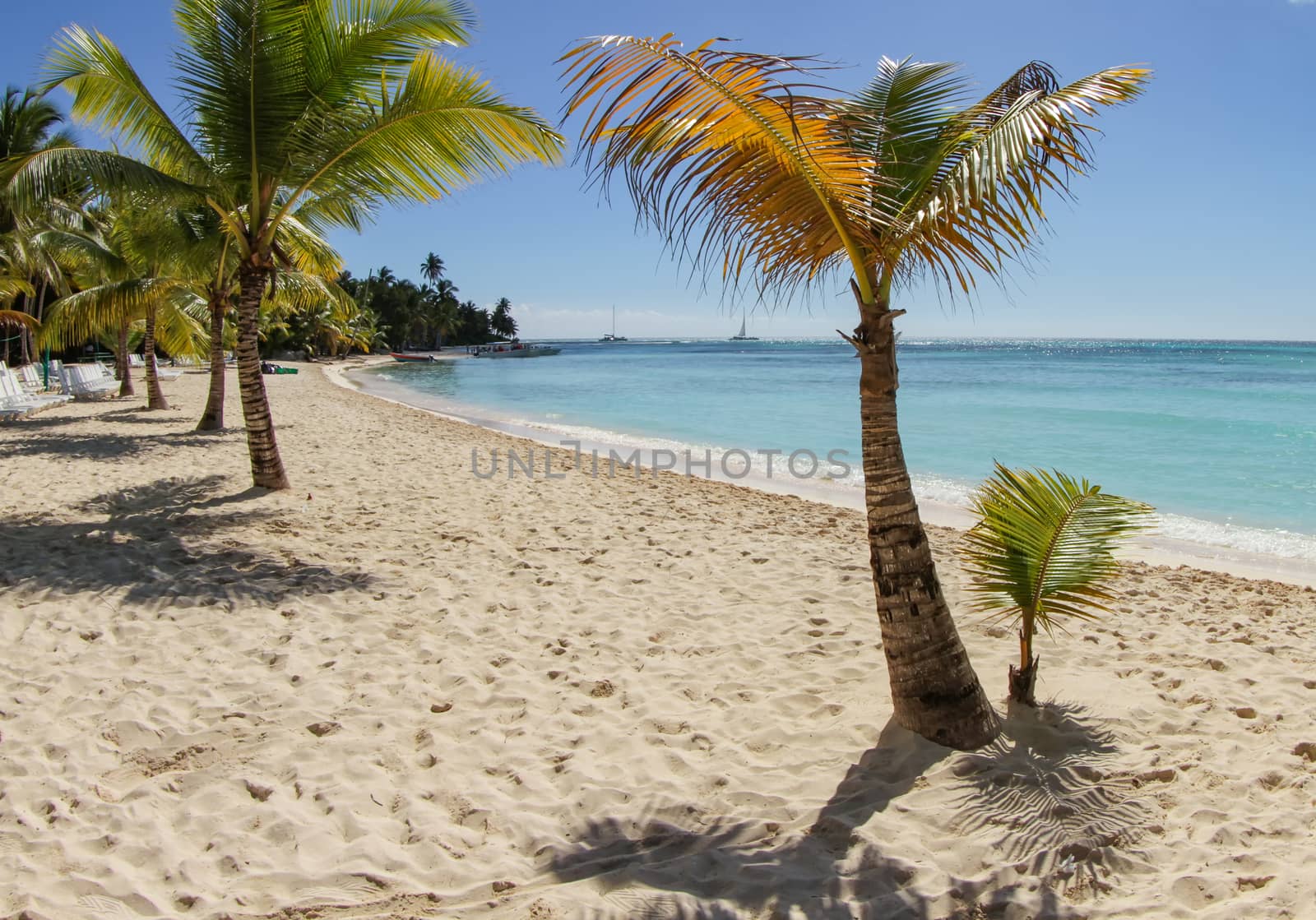 Palm trees, sand and the ocean are the relaxing views from the beaches of Saona Island.