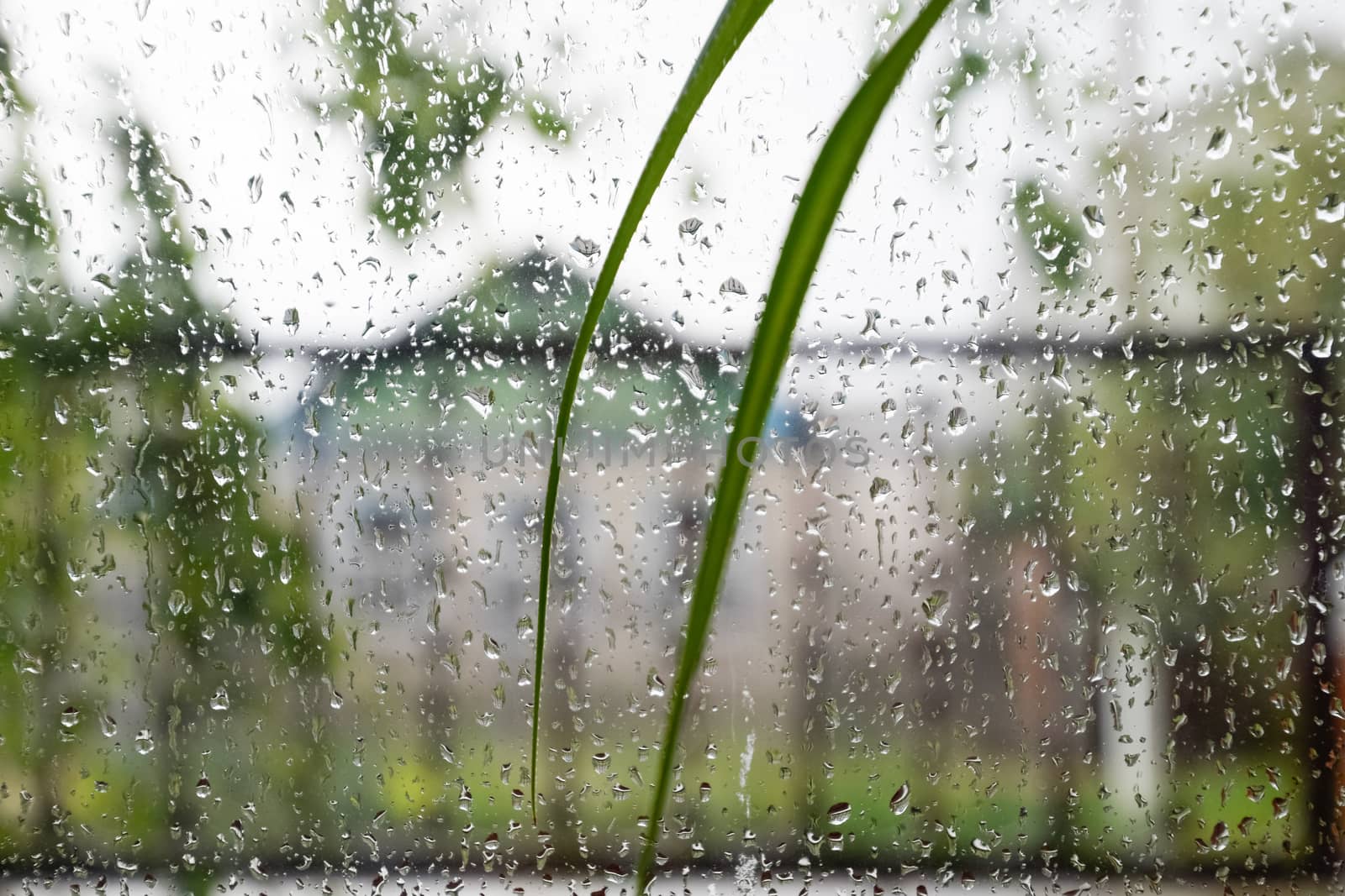 Raindrops on the window pane. Blurred background outside the window in the rain.