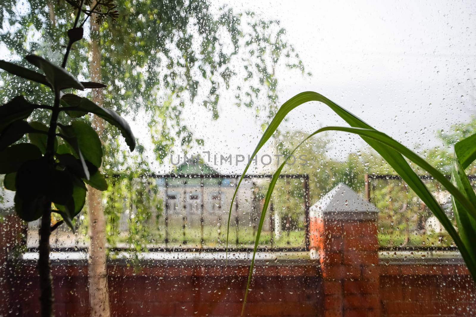 Raindrops on the window pane. Blurred background outside the window in the rain.
